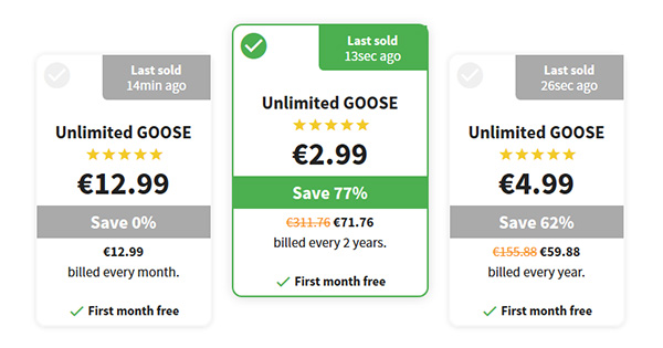 Tarifs Goose VPN